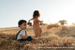 Children playing in the hay 4mkyX0