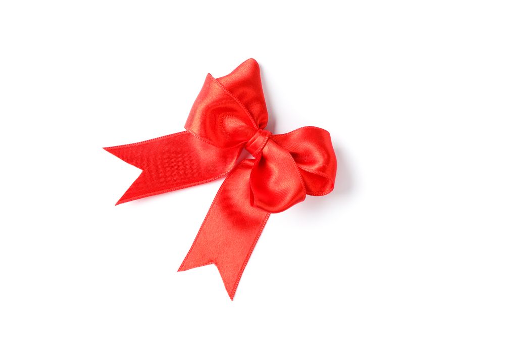 Red bow isolated on blank background. Gift concept