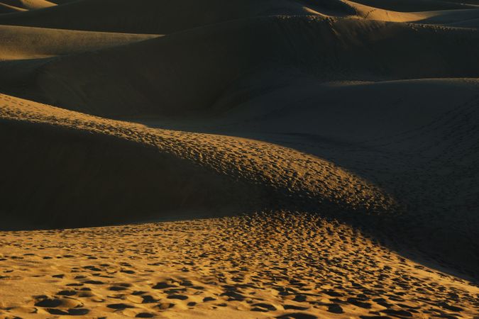 Sandy dunes with traces in sunlight