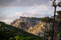 Wonderful view of high mountains and trees on hills