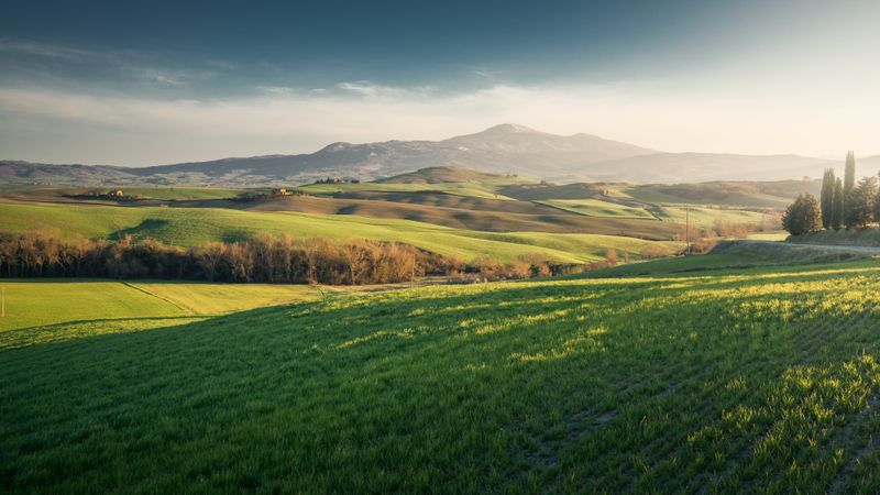 Wonderful empty green fields
