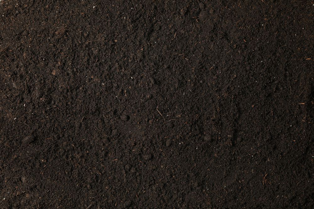 Dark soil as background, space for text and top view. Environmental protection. Agriculture