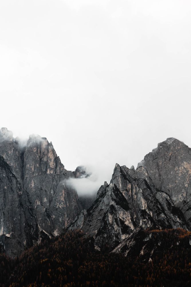 Big mountains near pine forest on cloudy weather