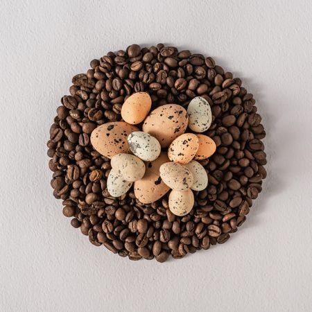 Nest of coffee beans with eggs