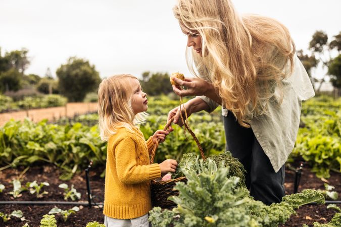 Mom showing her daughter a fresh onion in an organic garden