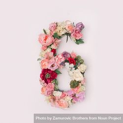 Number 6 made of real natural flowers and leaves 0gyY34