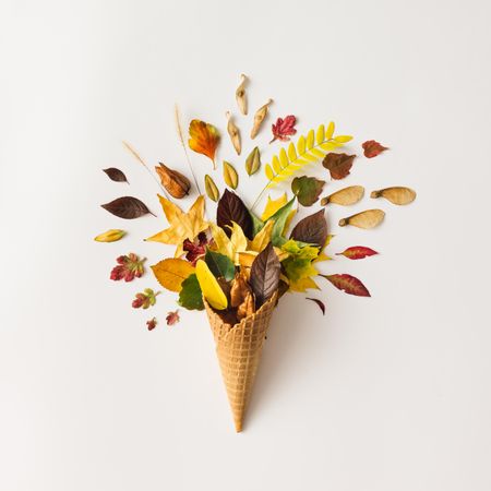 Ice cream cone with autumn leaves