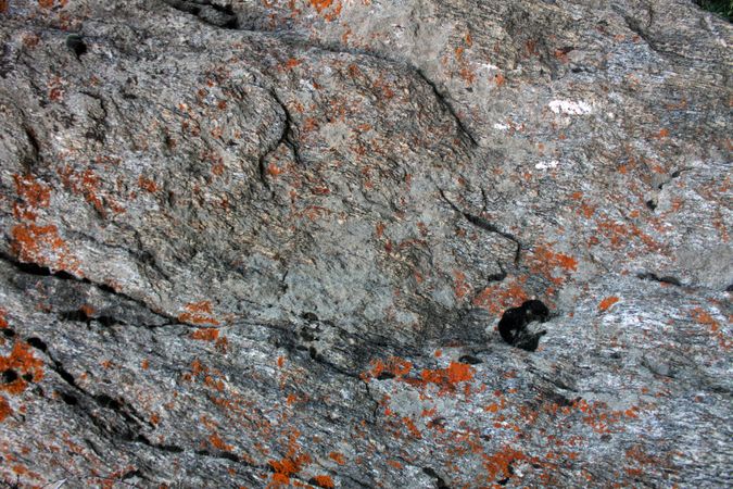 Red growths on grey rock