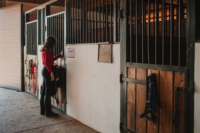 Woman standing in horse stable