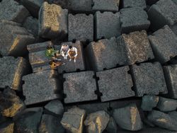 Diverse Friends Gathered on Tetrapod Seashore Blocks - Aerial View