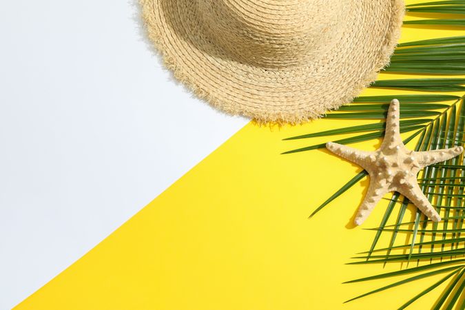 Summer vacation composition on two tone background. Space for text, top view