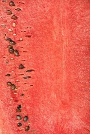 Close up of juicy ripe watermelon