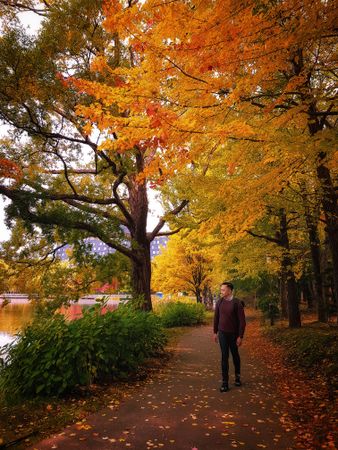 Man walking in Nakajima Park Sapporo, Japan during autumn