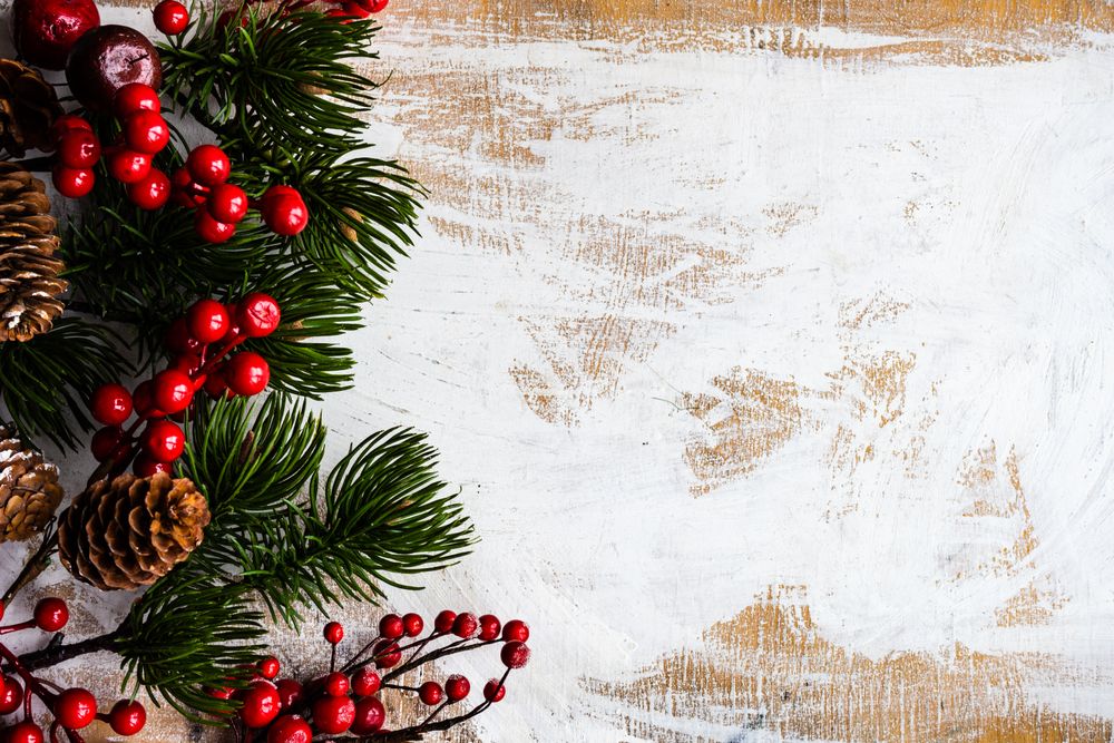 Christmas card concept of holly and pine cones on rustic background