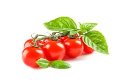 Green branch with fresh cherry tomatoes and basil isolated on light background. Ripe vegetables