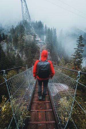 Back view of person in red jacket with backpack walking on a rope bridge during daytime