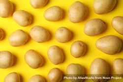 Looking down at potatoes arranged on yellow background 561QY0