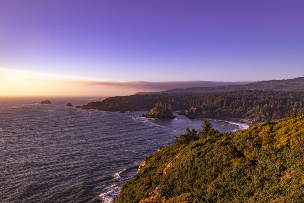 Looking down at the Pacific Ocean from a grassy cliff