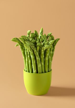 Green asparagus bundle in a ceramic pot isolated on a beige background