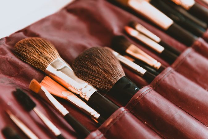 Set of brushes in bag