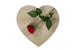 Valentine’s Day with single red rose and heart shaped giftbox