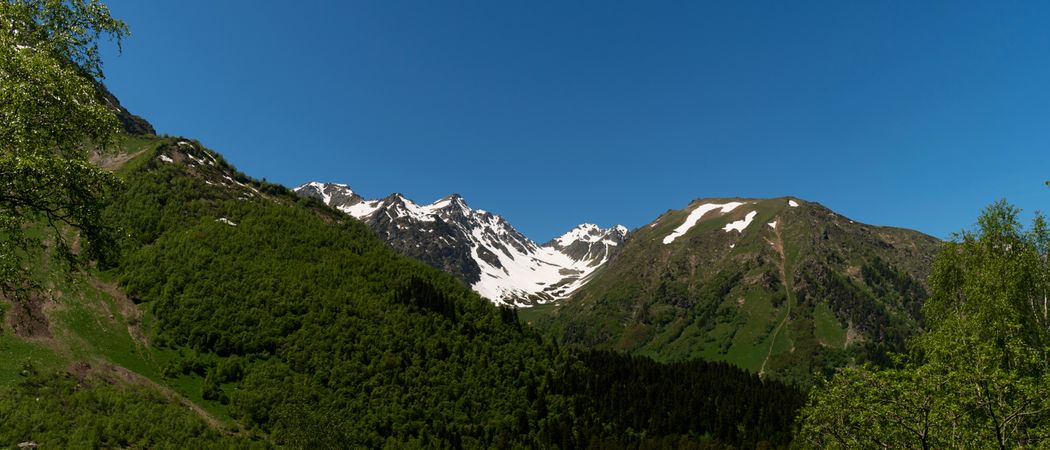 Mountain valley with snow patches and dense green forest.