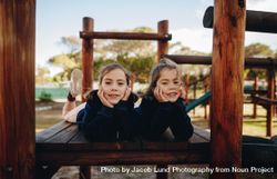 Twin sisters having fun at playground 5RkQ24