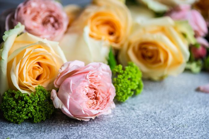 Flowers on concrete background