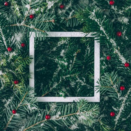 Snowy Christmas pine tree and holly branches with paper outline