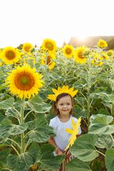 Cute child in blooming sunflower field