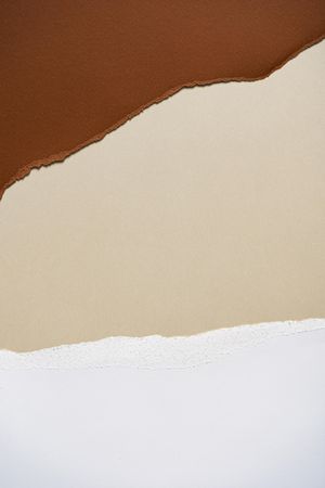 Earthy brown, beige and light torn paper background