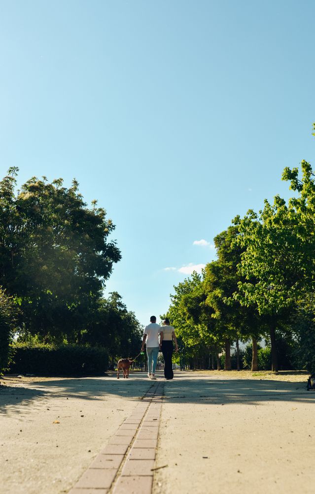 Couple walking and playing with their dog