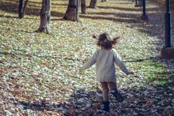 Back of happy child in field of colorful fall leaves
