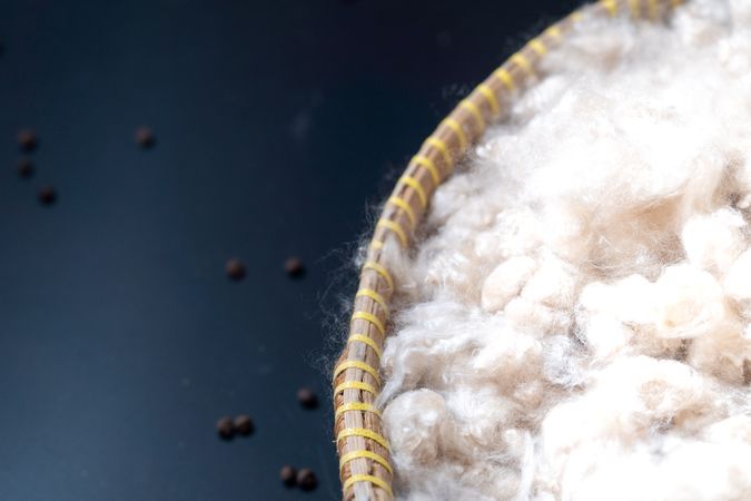 Kapok, tropical cotton fruit used for fiber and seed