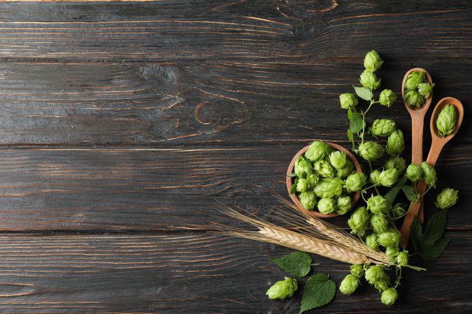 Wooden bowl and spoons with hop and spikelets on wood background, copy space