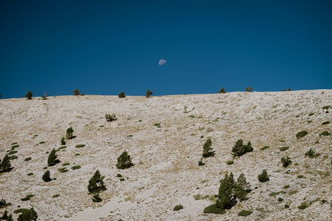 Landscape with hill and moon in blue sky