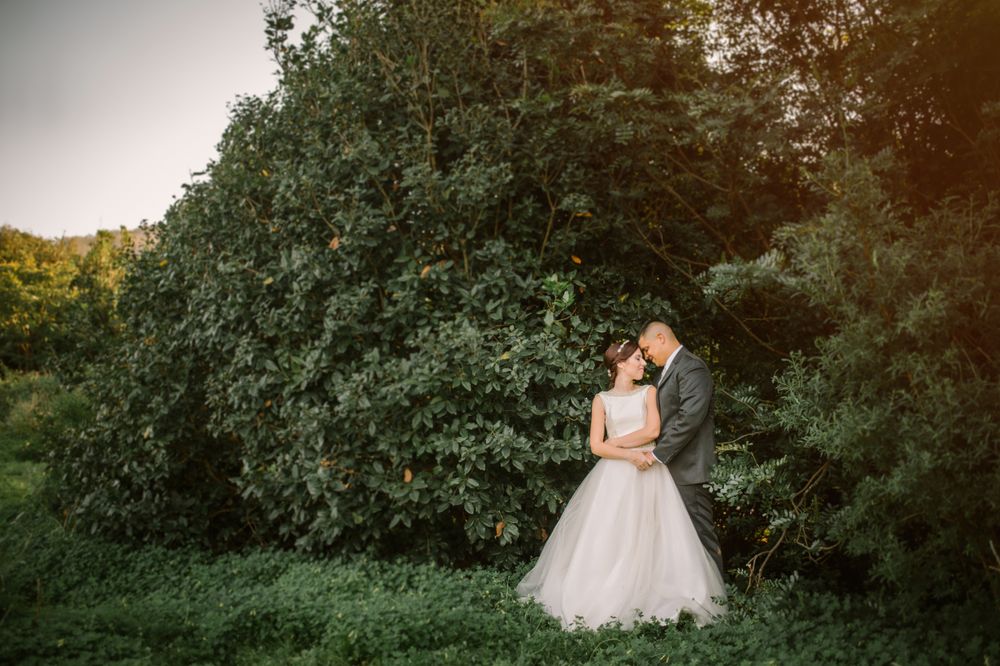 Smiling groom and bride hugging and kissing in park