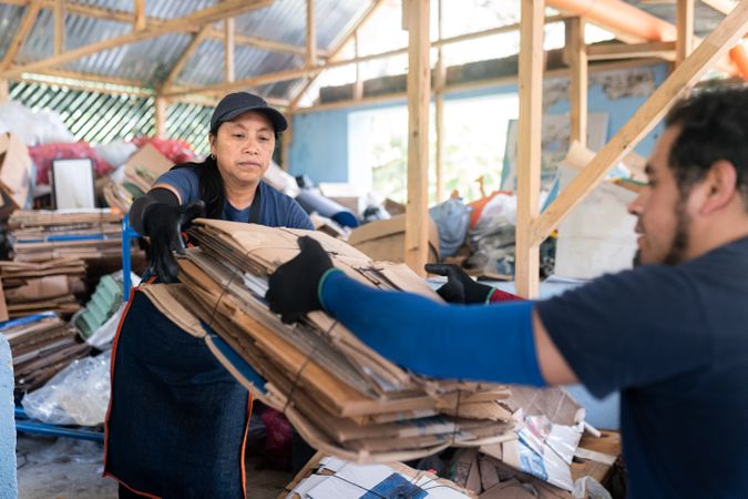 A Young Hispanic Woman Receiving Recycled Cardboard Stack. Teamwork in Recycling