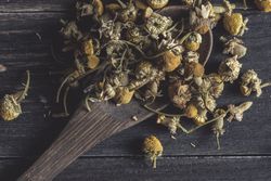 Spoonful of dried chamomile on wooden table
