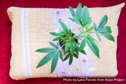 Top view of marijuana plant on a pillow 0Wn3Mb