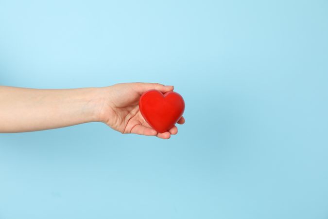 Female hand holds heart on blue background. Health care, organ donation