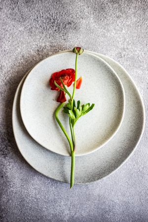 Top view of rustic table setting with red buttercup flowers on grey plate with space for text