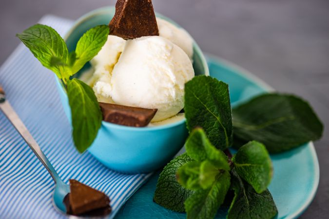 Fresh mint and chocolate garnishing vanilla ice cream