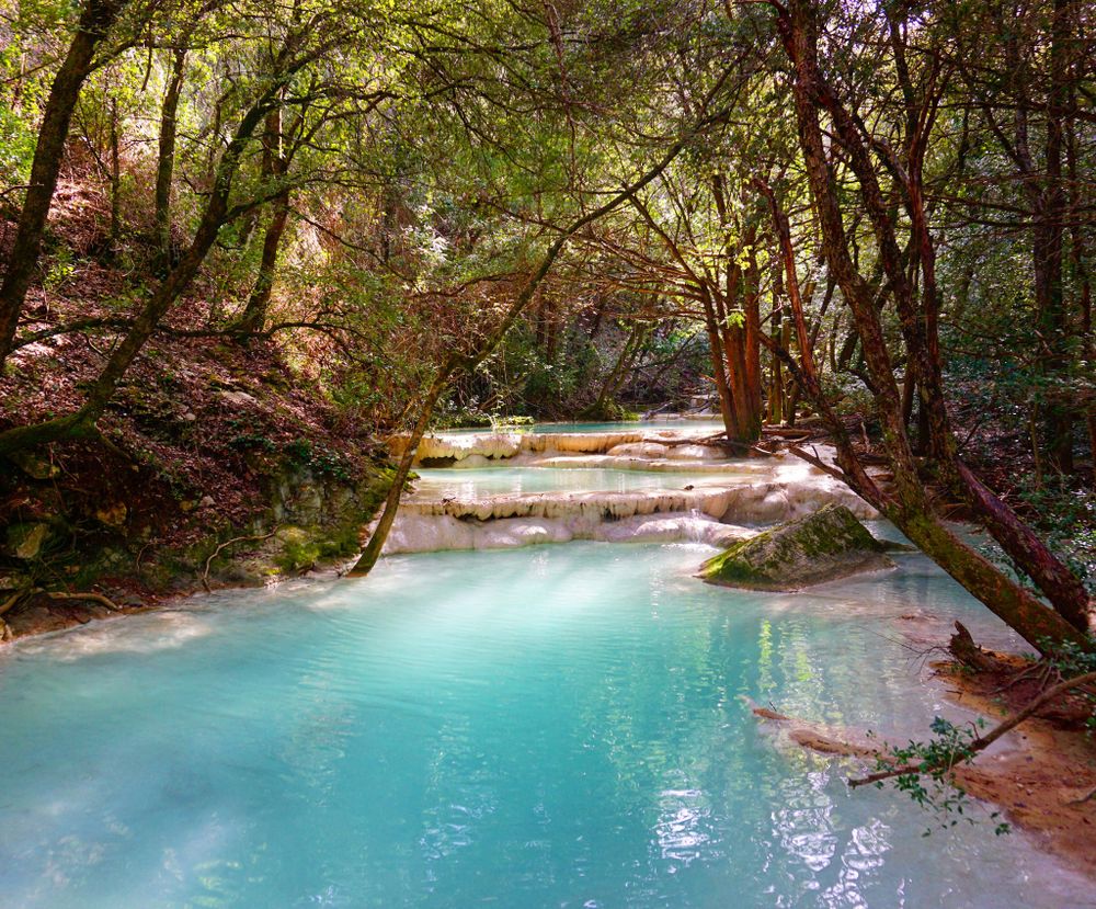 River between trees during daytime in Marseille, Provence-Alpes-Côte d'Azur, France