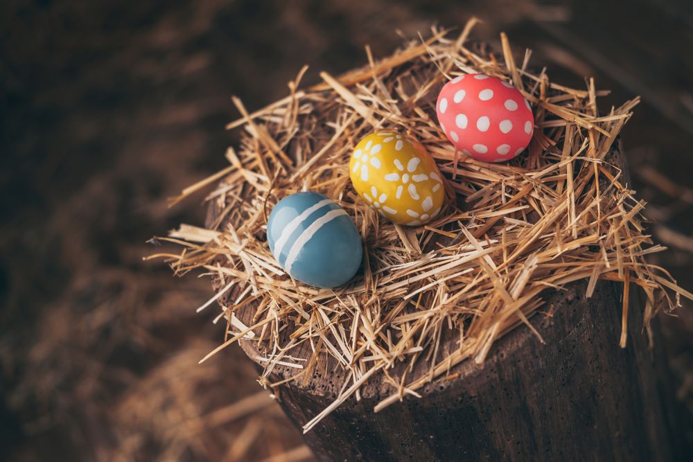 Set of Easter eggs on straw