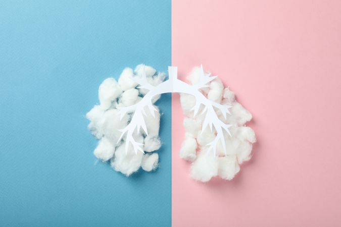 Lung bronchus made of paper and cotton on blue and pink background