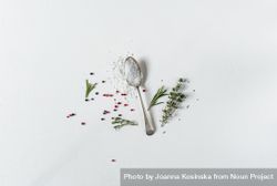 Spoon of salt with herbs on light background 4jVjwz