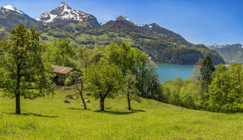 Swiss alpine scenery