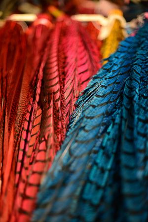 Colorful feathers celebrating Aztec culture