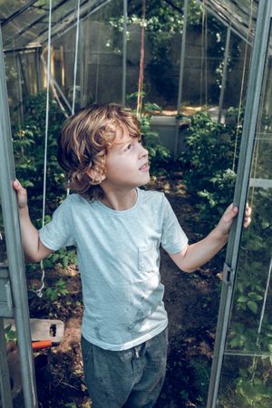 Child looking away in greenhouse in sunlight